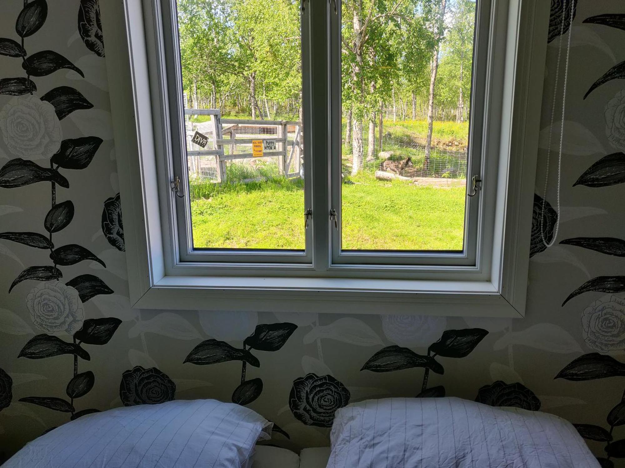 Husky Lodge Hostel Kiruna Quarto foto