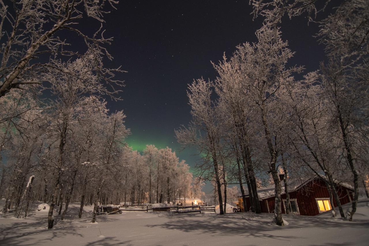 Husky Lodge Hostel Kiruna Exterior foto