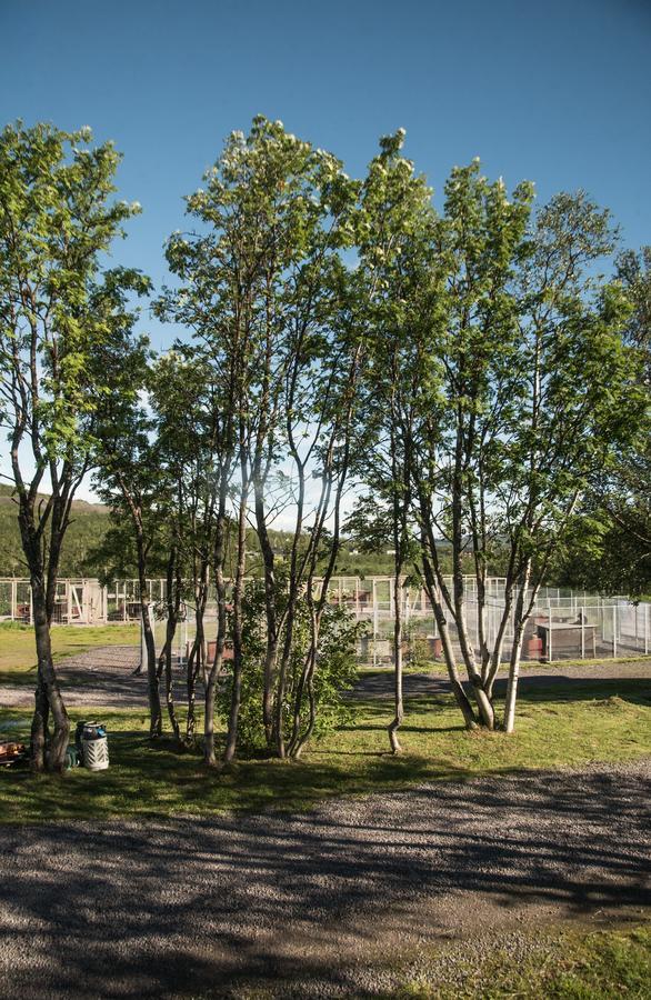 Husky Lodge Hostel Kiruna Exterior foto